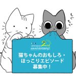 猫ちゃんのおもしろ・ほっこりエピソード募集