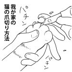 それぞれの爪の切り方